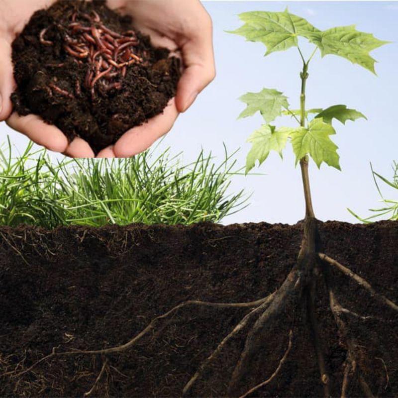 Phân bò hưu cơ đã qua xử lý túi 3dm LAVAMIX giàu dinh dưởng cung cấp cho cây trồng rau màu-duoc-ban-tai-Vỉa Hè Garden