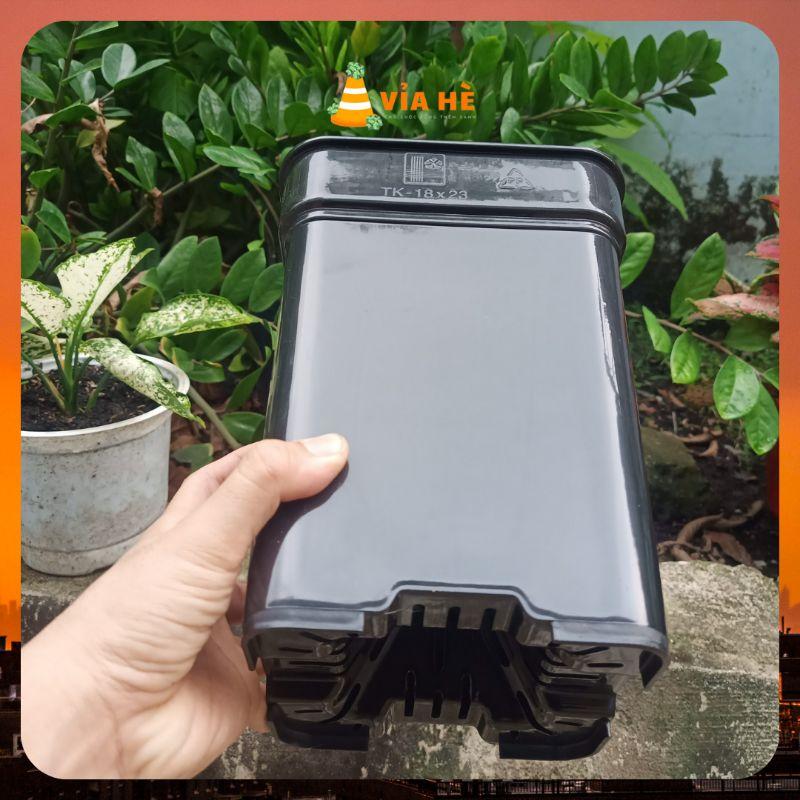 chậu nhựa cứng vuông đen trồng cây cảnh kiểng lá 18x23 Thakico giá tại xưởng, trồng rau hoa sân thượng-duoc-ban-tai-Vỉa Hè Garden
