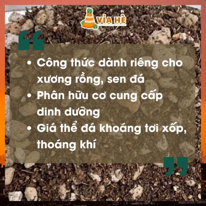 Đất Trồng Sen Đá Xương Rồng Namix Túi 2dm3 (0,7-1kg), Giá Thể Cao Cấp Dành Riêng Cho Cây Mọng Mước-duoc-ban-tai-Vỉa Hè Garden