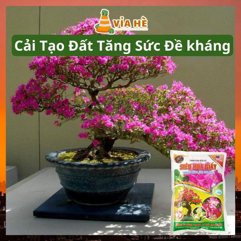 Phân Hưu Cơ Cho Hoa Giấy Và Hoa Sứ Nóng Túi 700g, Cải Tạo Đất Kích Rễ, Nhiều Hoa, Lâu Tàn-duoc-ban-tai-Vỉa Hè Garden