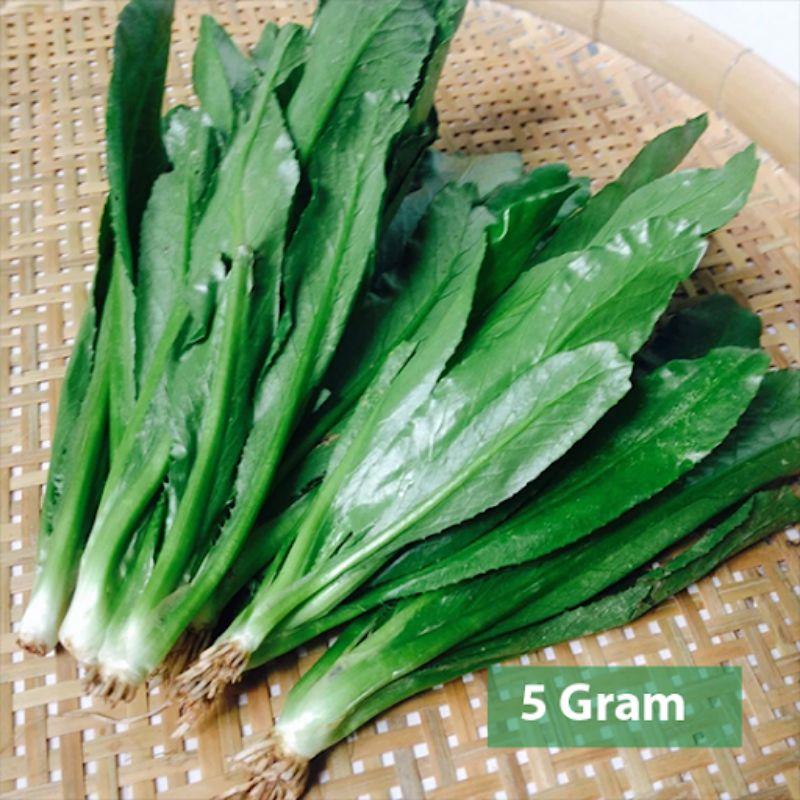 Hạt Giống Ngò Gai, Chất Lượng F1 - gói 5g-duoc-ban-tai-Vỉa Hè Garden