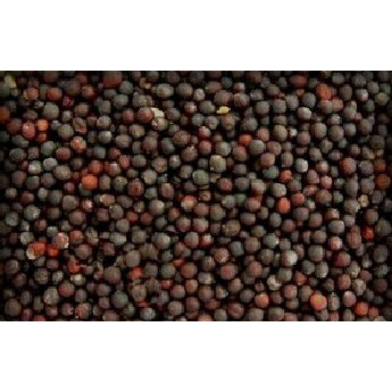 Hạt Giống Cải Xanh Mỡ, Chất Lượng F1 - gói 10g-duoc-ban-tai-Vỉa Hè Garden