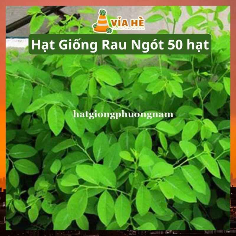 Hạt Giống Rau Ngót Túi 50 Hạt, Chất Lượng Dễ Trồng-duoc-ban-tai-Vỉa Hè Garden