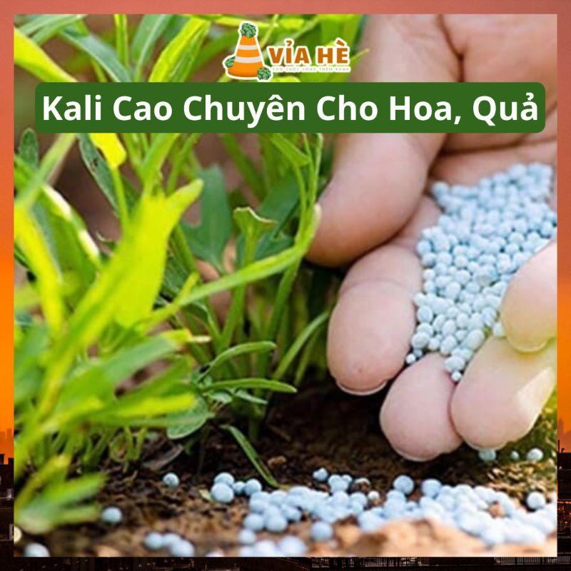 Phân Bón Tổng Hợp NPK Minro 15-5-20 túi 200g, Chuyên Cho Cây Ăn Trái Và Hoa Kiểng-duoc-ban-tai-Vỉa Hè Garden