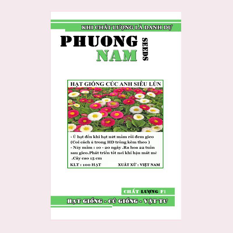 Hạt giống hoa cúc anh tròn siêu lùn túi 100 hạt chất lượng F1-duoc-ban-tai-Vỉa Hè Garden