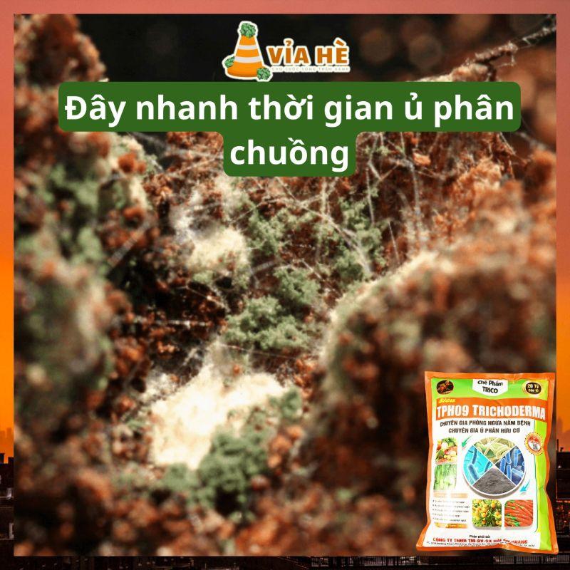 Nấm Đối Kháng Trichoderma Túi 1kg, Chế Phẩm Ủ Rác Nhà Bếp Nhà Vườn, Tăng Sức Đề Kháng Phòng Ngừa Nấm Bệnh-duoc-ban-tai-Vỉa Hè Garden