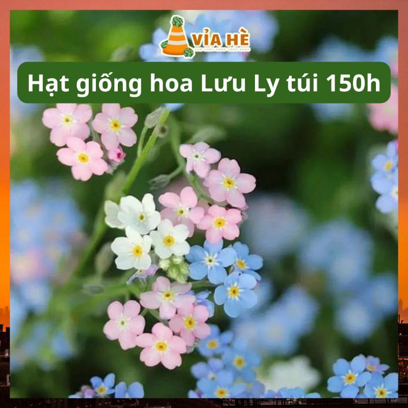 Hạt giống hoa lưu ly nhiều màu túi 150 hạt, hạt chất lượng dễ trồng-duoc-ban-tai-Vỉa Hè Garden