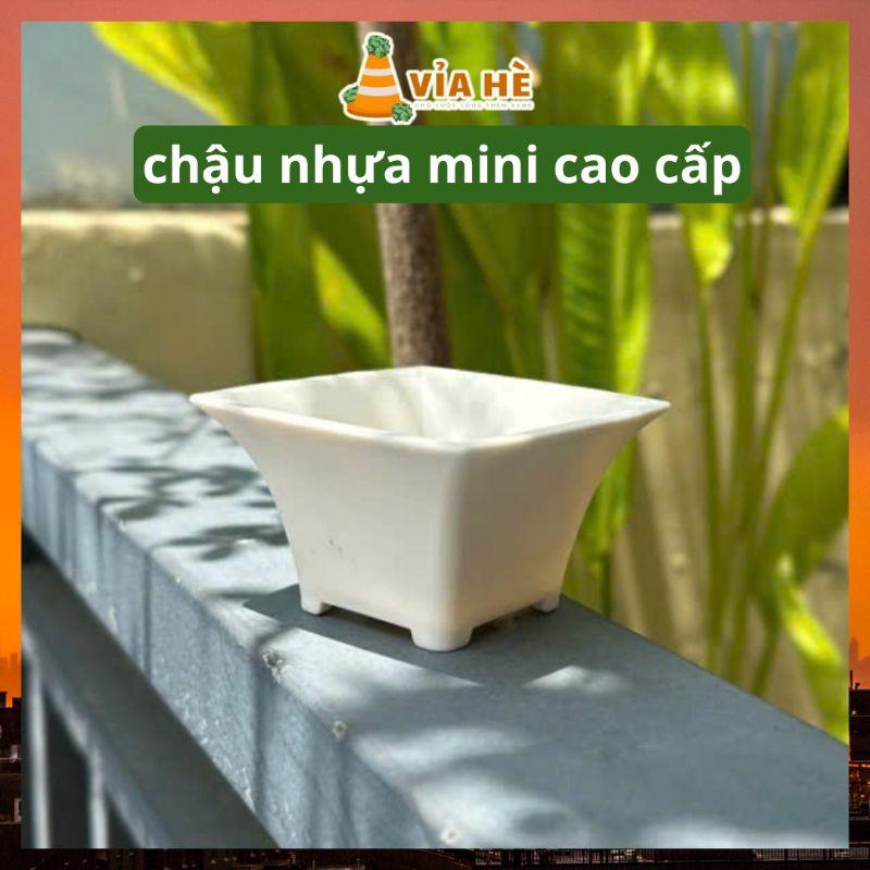 Chậu nhựa cứng mini VIAHE trồng sen đá, xương rồng, bonsai hàng nhập khẩu-duoc-ban-tai-Vỉa Hè Garden