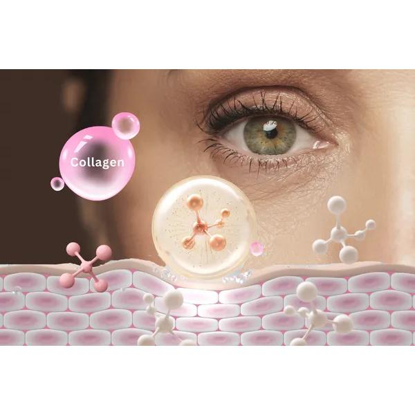 Collagen30 WEBBER NATURALS Collagen Peptide - Hoạt Tính Sinh Học Cao-duoc-ban-tai-Alice Boutique