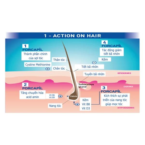 Forcapil Fortifiant ARKOPHARMA Hỗ trợ giảm rụng Tóc-duoc-ban-tai-Alice Boutique