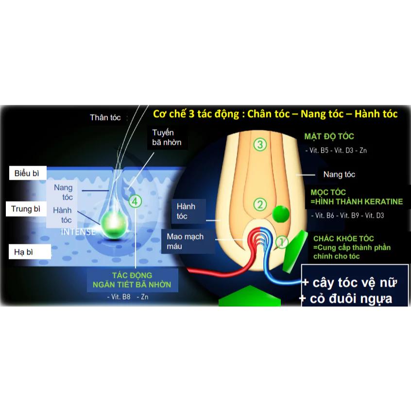 Viên uống Forcapil Anti-Chute ARKOPHARMA - Giảm Rụng Tóc Nội Tiết, Hỗ Trợ Mọc Tóc-duoc-ban-tai-Alice Boutique