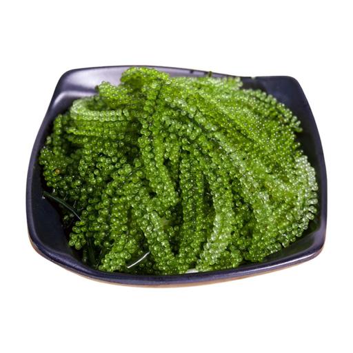 Nomi Rong TL SUSHI . Rong Nho Tươi 100g
