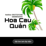 shop avatar